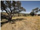 Lot 276 Siena Ridge, Wallan VIC 3756