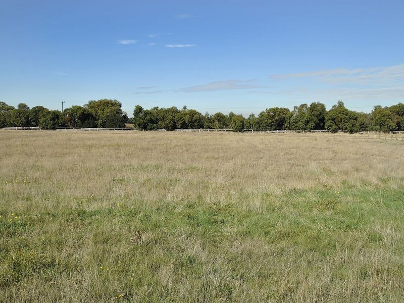 37 Cavallo Crescent, Hidden Valley VIC 3756