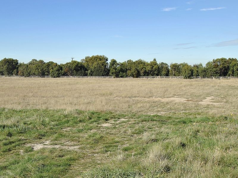 37 Cavallo Crescent, Hidden Valley VIC 3756