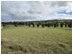43 Craig Parry Drive, Hidden Valley VIC 3756