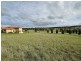 43 Craig Parry Drive, Hidden Valley VIC 3756