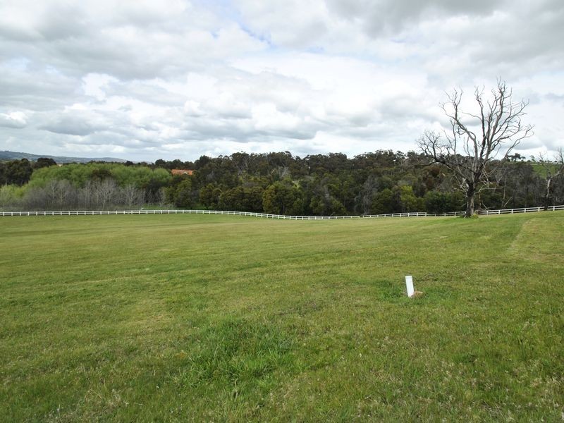 81 Siena Way, Hidden Valley VIC 3756