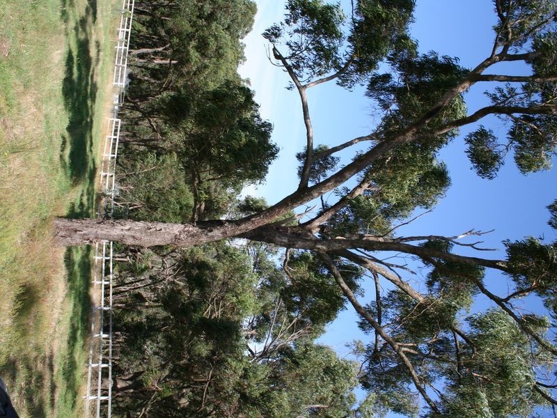 Lot 292 (4 Siena Ridge, Hidden Valley VIC 3756