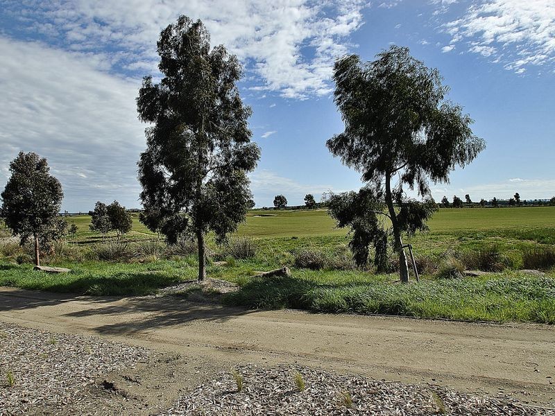 22 Mandalay Circuit, Beveridge VIC 3753