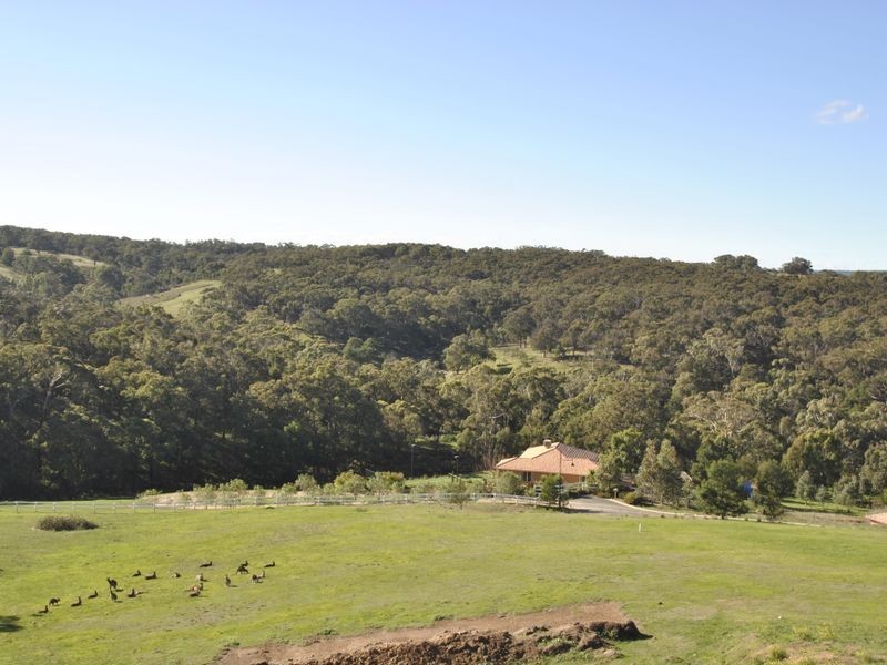 3 Grenfell Close, Hidden Valley VIC 3756