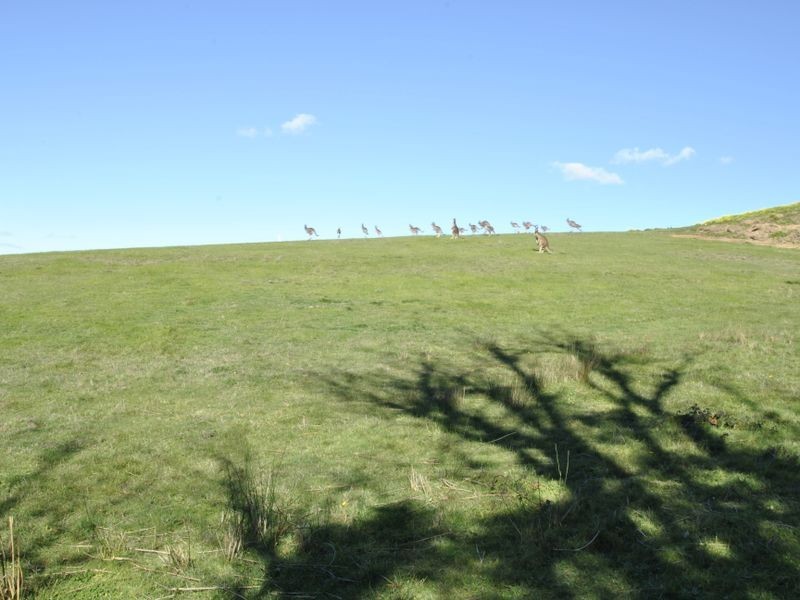 3 Grenfell Close, Hidden Valley VIC 3756