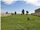 22 Mandalay Circuit, Beveridge VIC 3753