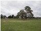 365 Mchargs Road, Willowmavin VIC 3764