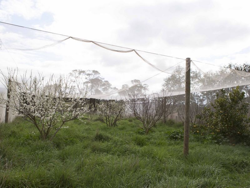 365 Mchargs Road, Willowmavin VIC 3764