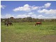 39 Darraweit Valley Road, Darraweit Guim VIC 3756