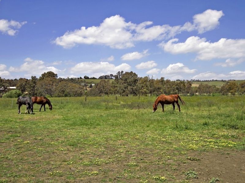 39 Darraweit Valley Road, Darraweit Guim VIC 3756