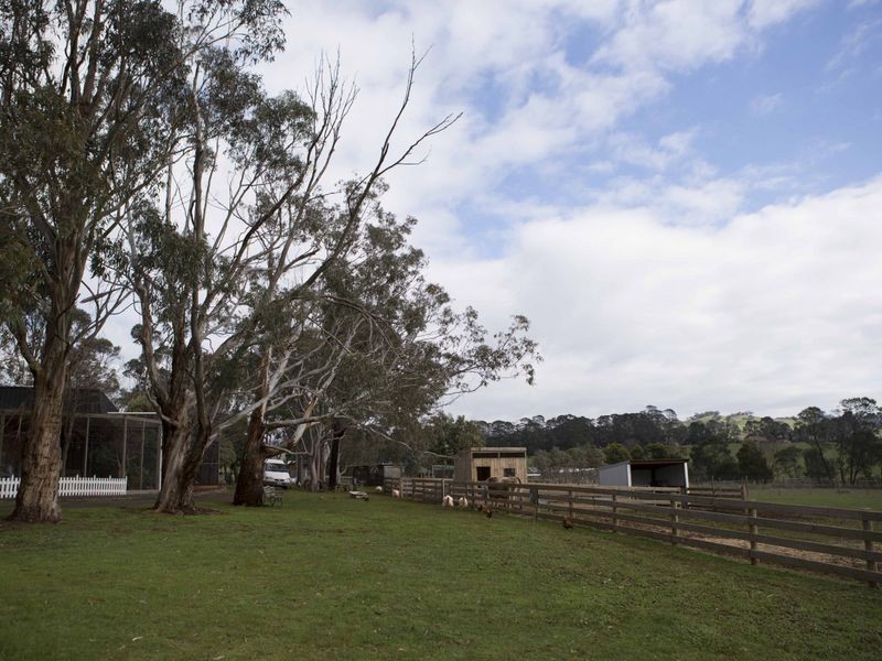 365 Mchargs Road, Willowmavin VIC 3764