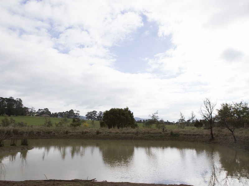 365 Mchargs Road, Willowmavin VIC 3764