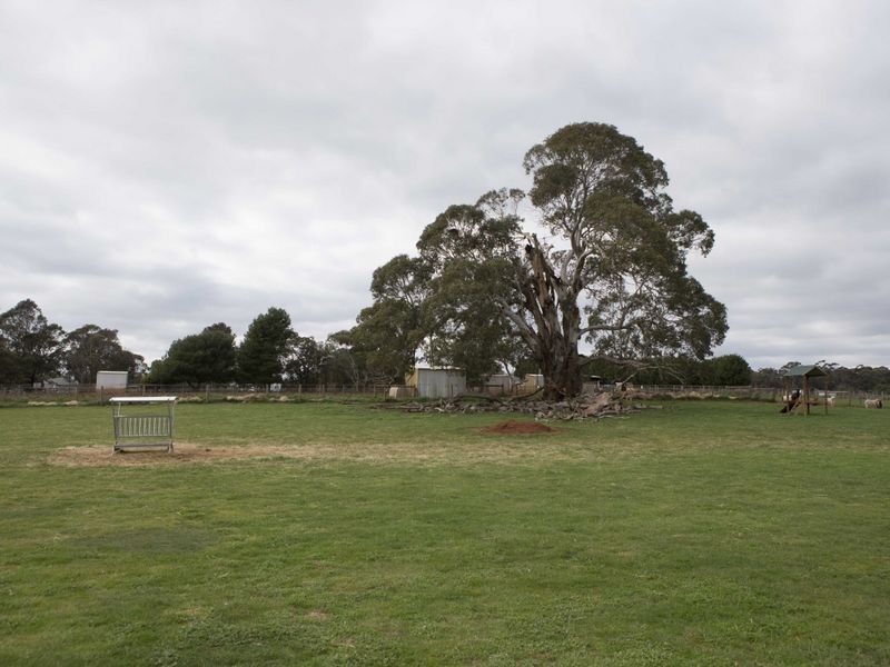 365 Mchargs Road, Willowmavin VIC 3764