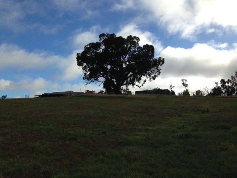 8 Cochrane Court, Wandong VIC 3758