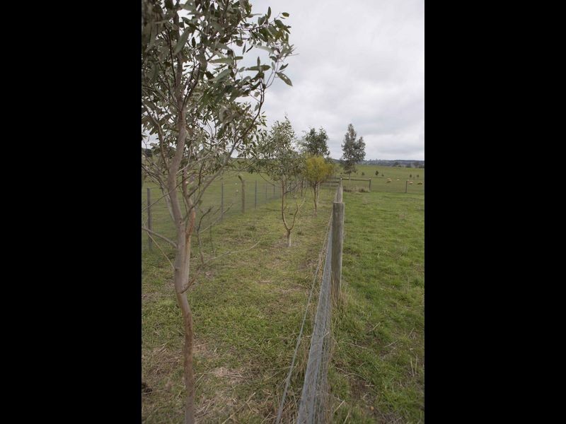 365 Mchargs Road, Willowmavin VIC 3764