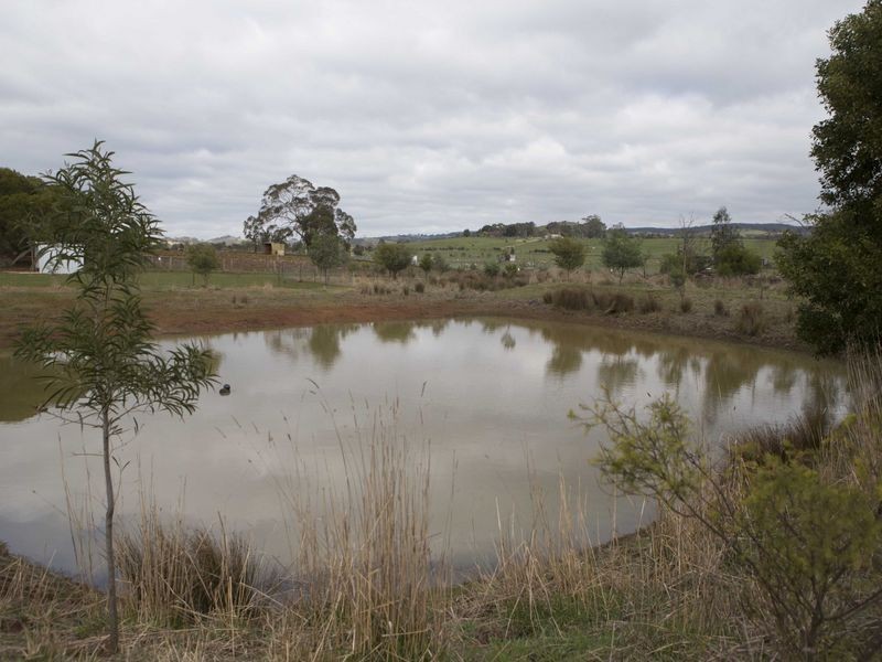 365 Mchargs Road, Willowmavin VIC 3764