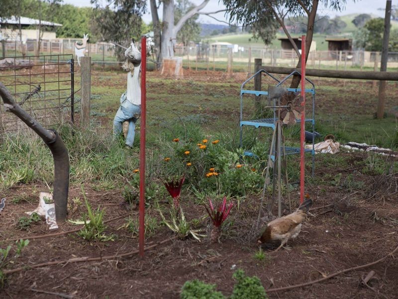 365 Mchargs Road, Willowmavin VIC 3764