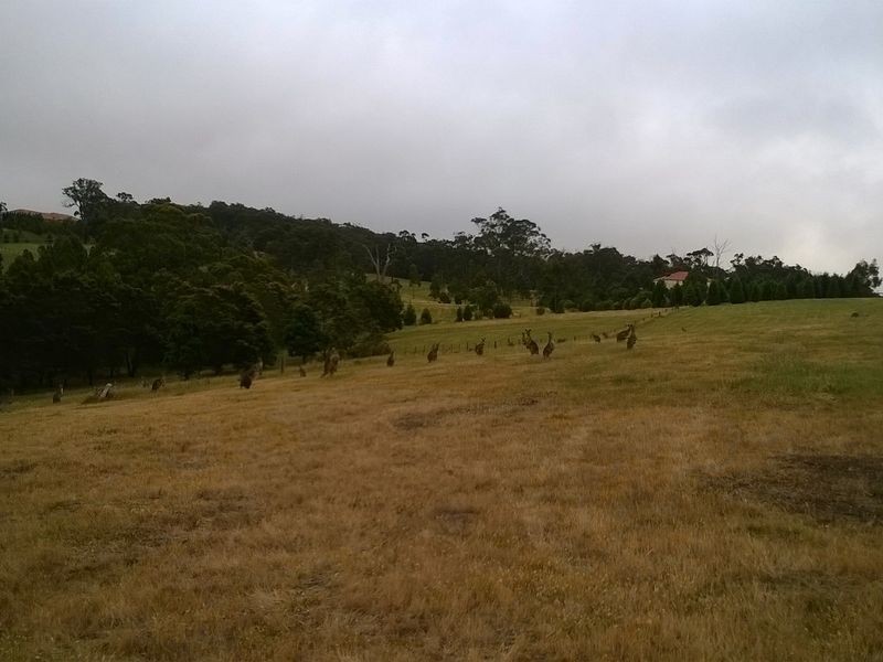 4 Siena Ridge, Hidden Valley VIC 3756