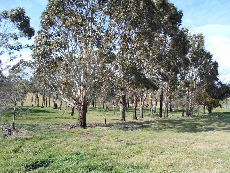 51 Glendonald Lane, Darraweit Guim VIC 3756