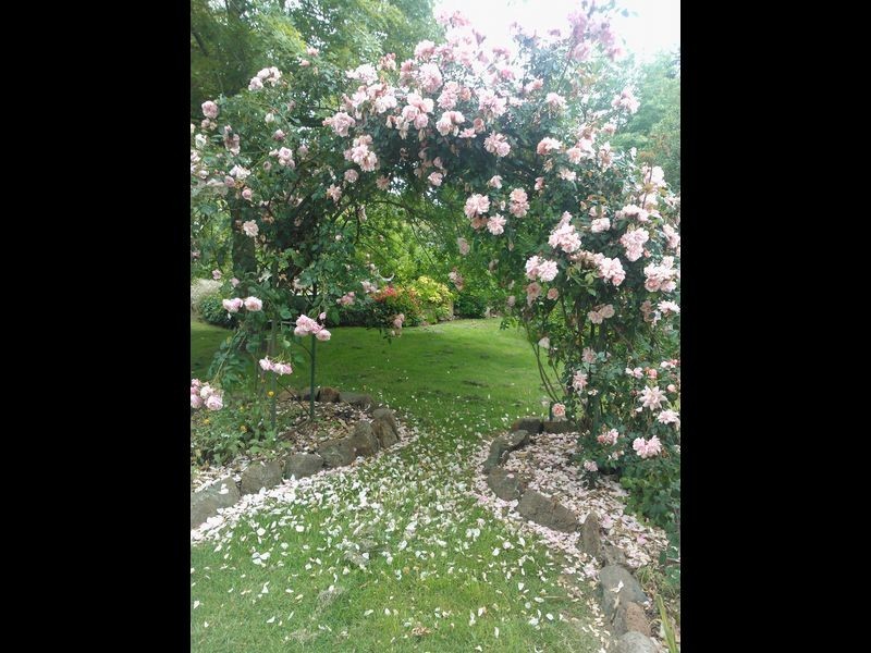 85 Rowes Lane, Wallan VIC 3756