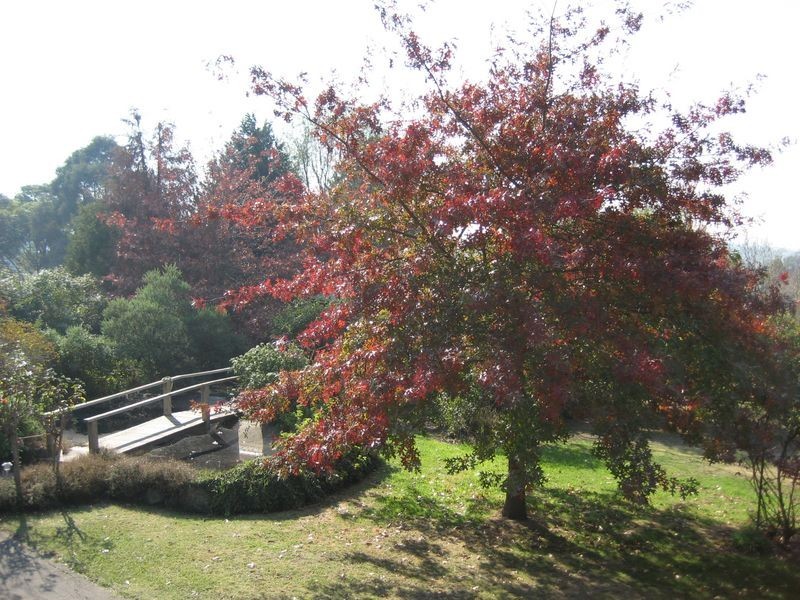 85 Rowes Lane, Wallan VIC 3756