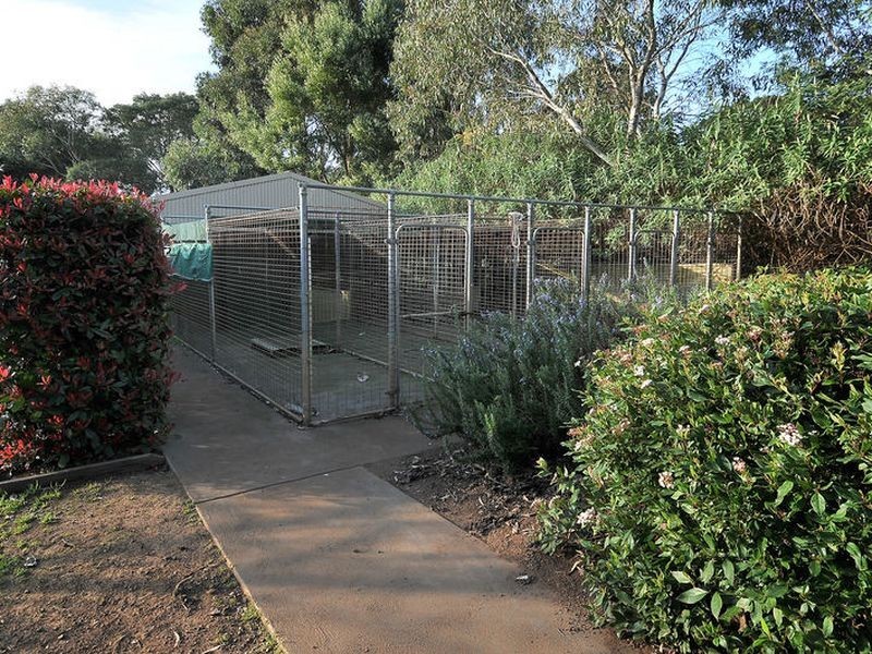 11 Bindley Court, Kilmore VIC 3764