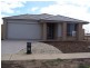 43 Watergum Way, Wallan VIC 3756