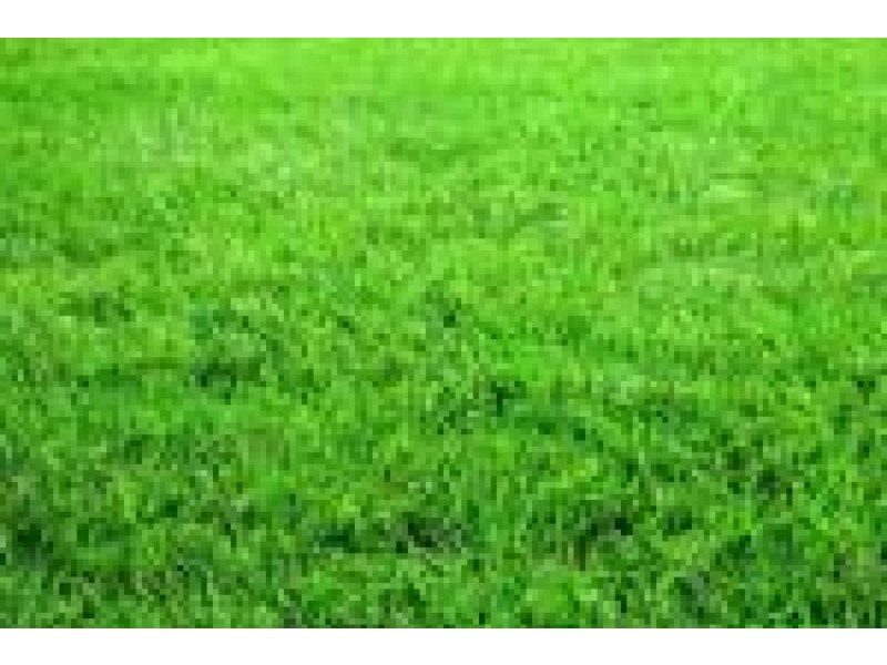 Wallan VIC 3756
