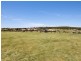 20 Cavallo Crescent, Hidden Valley VIC 3756