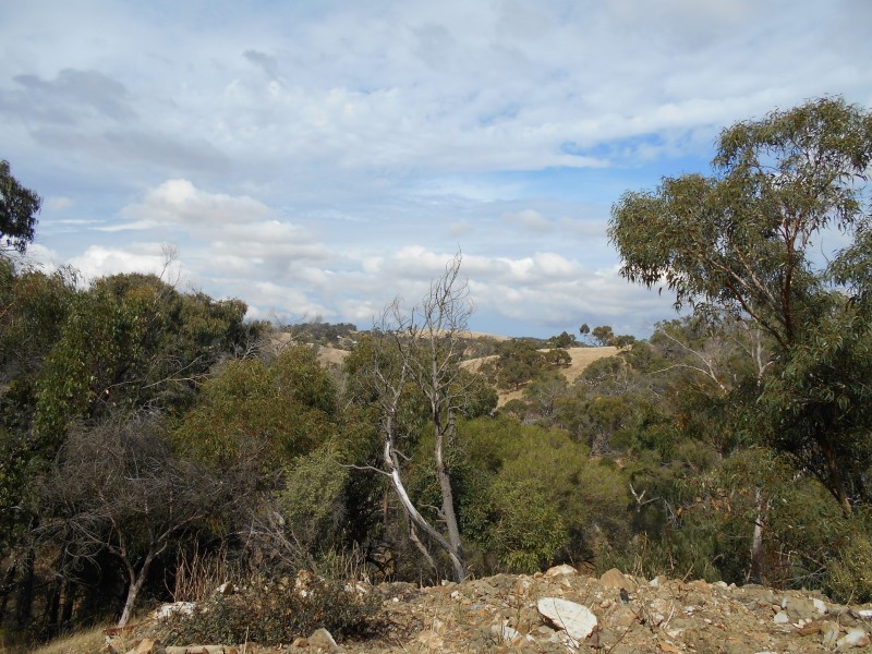 135 Wallan Heights Road, Wallan VIC 3756