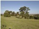 LOT 309 Dolomite Rise, Wallan VIC 3756