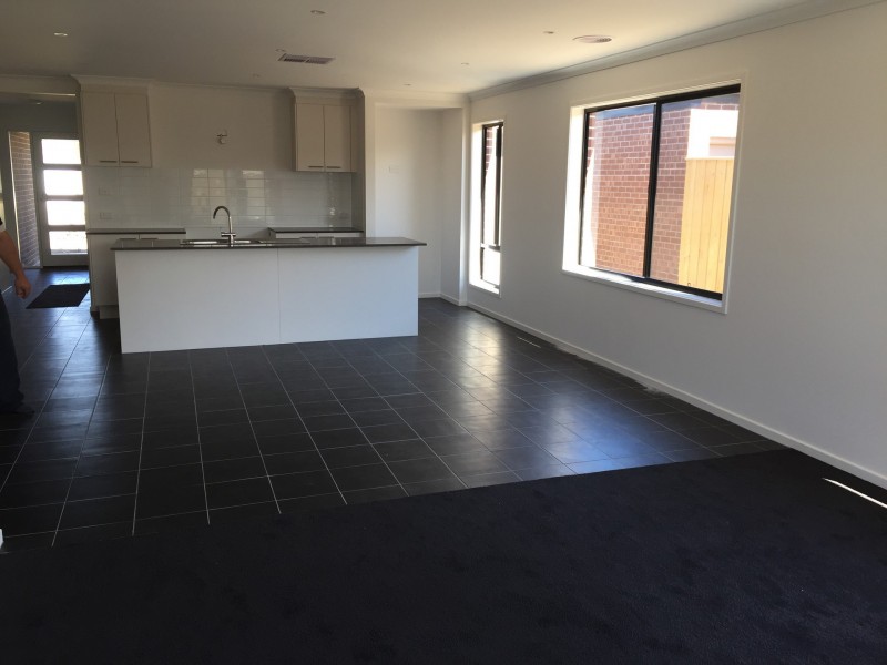16 Riceflower Rise, Wallan VIC 3756
