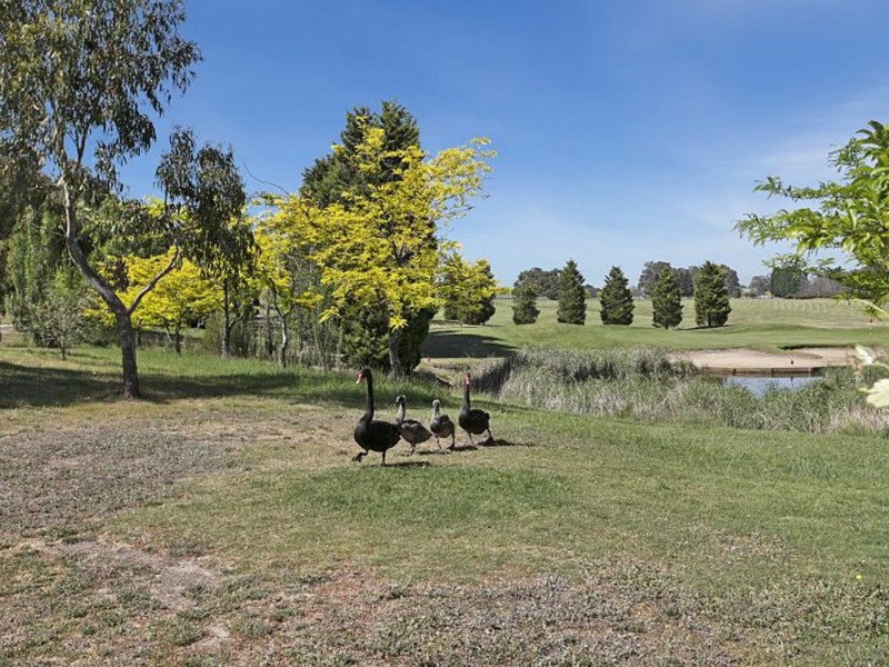 38 Craig Parry Drive, Hidden Valley VIC 3756