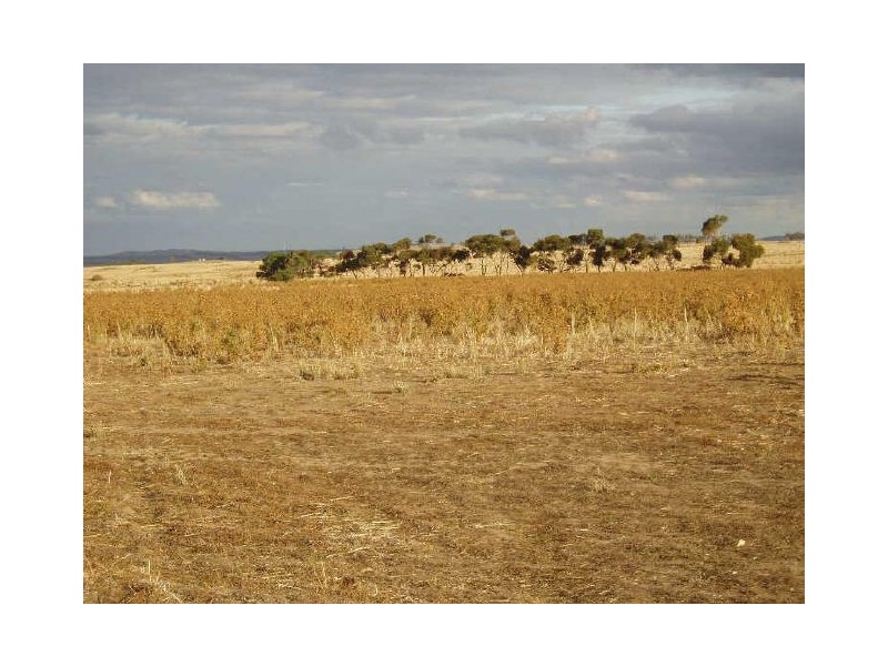 Bolinda/Darraweit Road “Newlands Estate”, Darraweit Guim VIC 3756