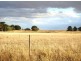 Bolinda/Darraweit Road “Newlands Estate”, Darraweit Guim VIC 3756