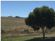 20 Australis Drive, Wallan VIC 3756