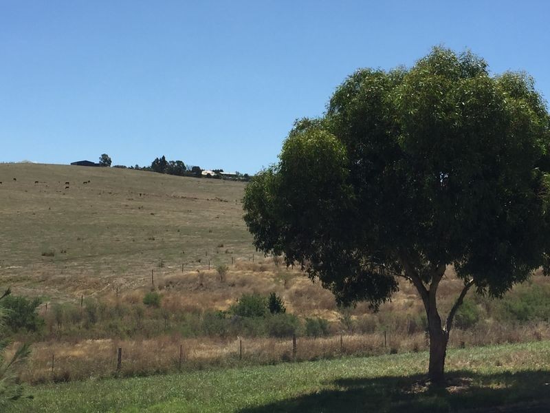 20 Australis Drive, Wallan VIC 3756