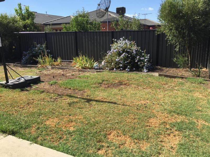 26 Brummel Street, Craigieburn VIC 3064