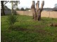 12 Lumsden Street, Kilmore VIC 3764