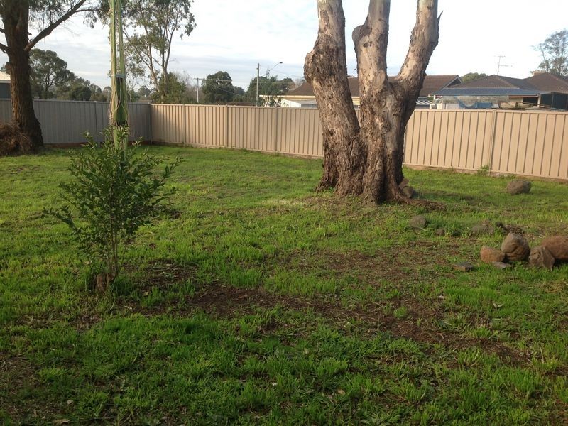 12 Lumsden Street, Kilmore VIC 3764