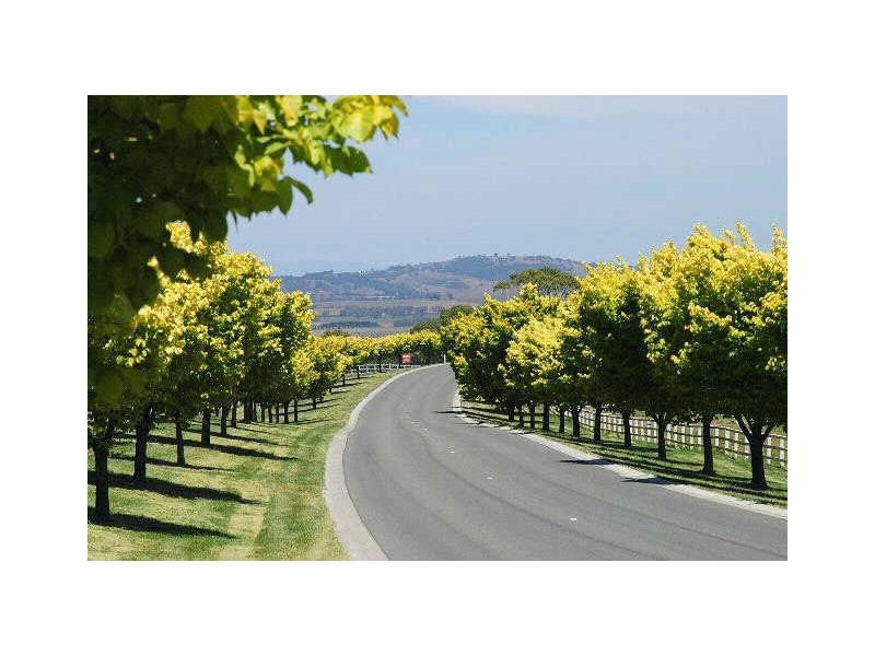 Lot 107 Arno Court, Hidden Valley VIC 3756