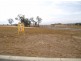 Lot 689 Carmelo Court, Hidden Valley VIC 3756