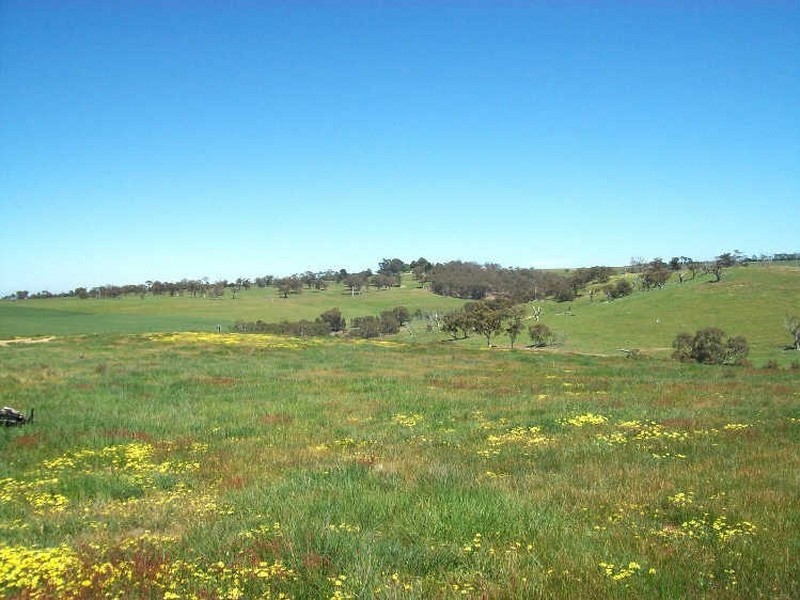 7/ Porcupine Court, Chintin VIC 3756