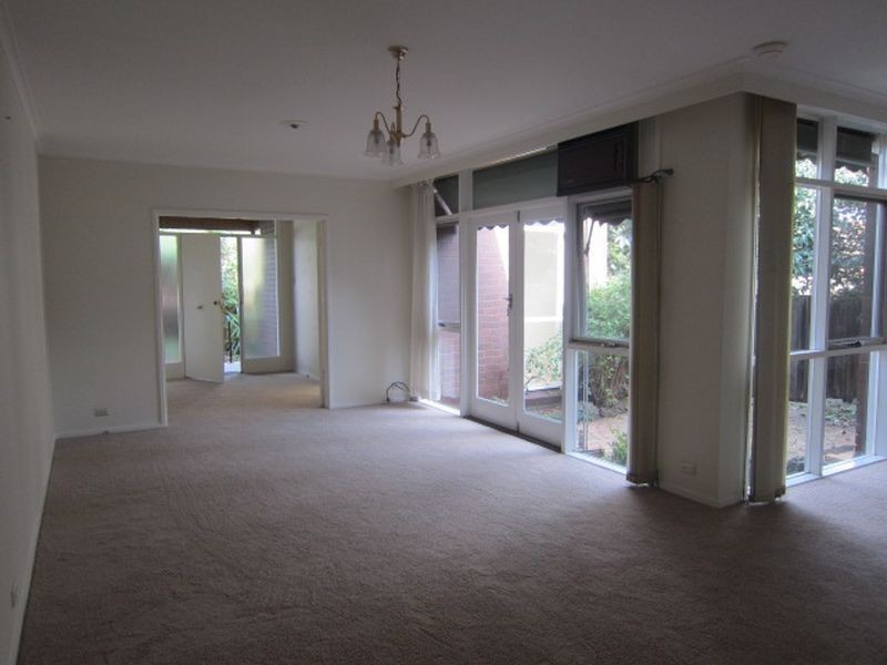 5/41 Kooyong Road, Caulfield North VIC 3161