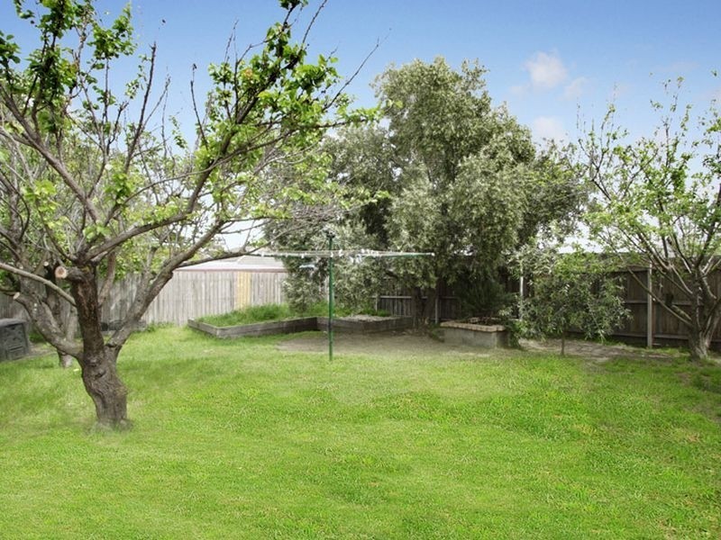 78 Bernard St, Cheltenham VIC 3192