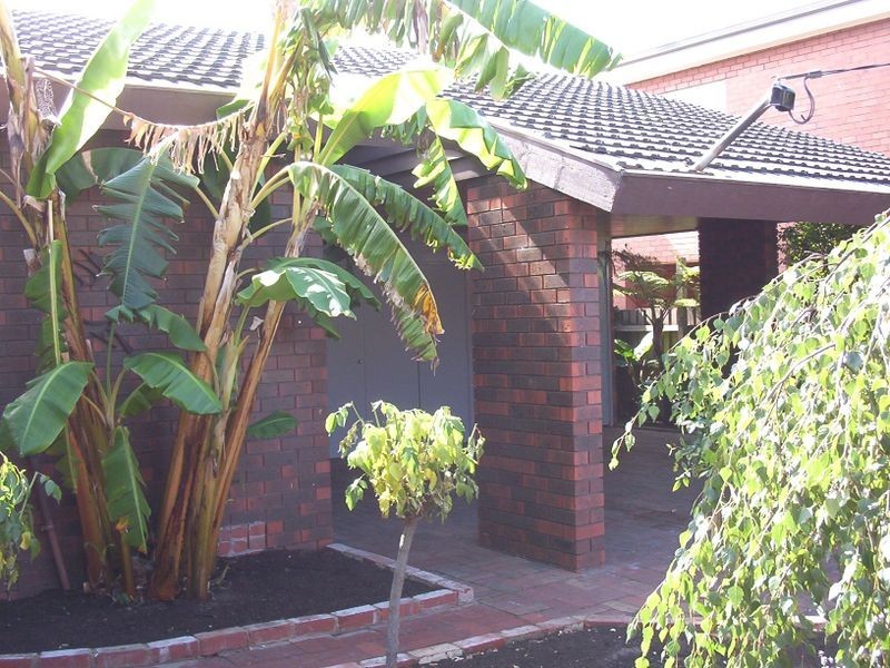 87 Asling Street, Brighton VIC 3186