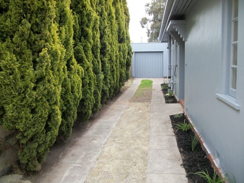 385 Waverley Road, Malvern East VIC 3145