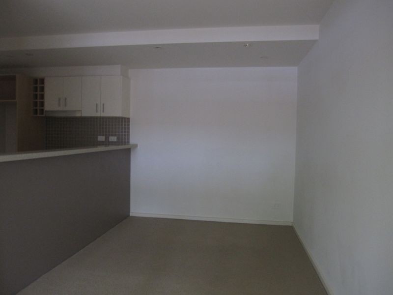 1/19 Selwyn Street, Elsternwick VIC 3185