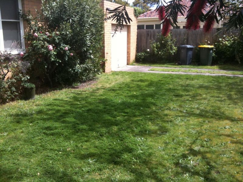 41 Ludbrook Avenue, Caulfield South VIC 3162